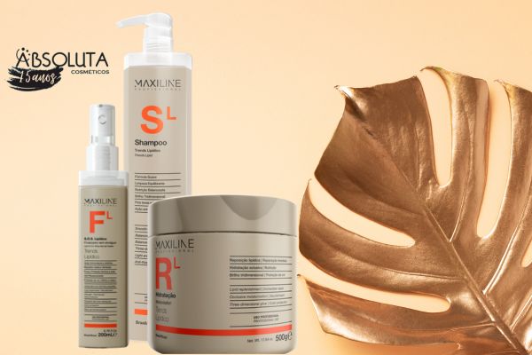 TRENDS LIPIDICO PROFISSIONAL 500G